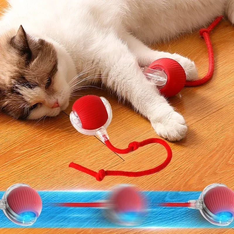 interactive robotic pet ball toy