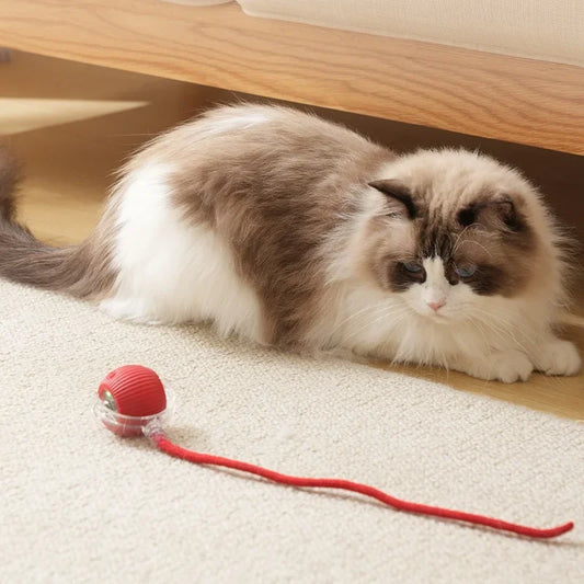 interactive robotic pet ball toy